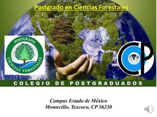 Campus Estado de México
Montecillo, Texcoco, CP 56230
Postgrado en Ciencias Forestales
 
