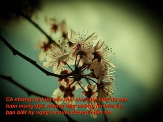 Có những lời hứa vẫn mãi chỉ là lời hứa dù bạn
luôn mong đợi, nhưng nhờ những lời hứa ấy,
bạn biết hy vọng và nuôi dưỡng niềm tin.
 