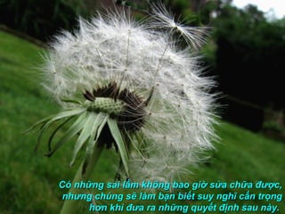 Có những sai lầm không bao giờ sửa chữa được,
 nhưng chúng sẽ làm bạn biết suy nghĩ cẩn trọng
      hơn khi đưa ra những quyết định sau này.
 