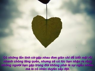 Có những lần tình cờ gặp nhau đơn giản chỉ để biết mặt rồi
 nhanh chóng lãng quên, nhưng sẽ có lúc bạn nhận ra rằng
những người bạn gặp trong đời không phải là sự ngẫu nhiên,
               mà là có nhân duyên sắp đặt.
 