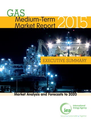 Market Analysis and Forecasts to 2020
Medium-Term
Market Report 2015
GAS
EXECUTIVE SUMMARY
 