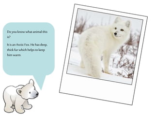 Doyouknowwhatanimalthis
is?
It is anArctic Fox.He hasdeep,
thickfurwhich helps tokeep
him warm.
 