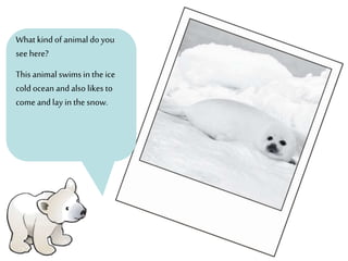 What kind of animal do you
seehere?
This animal swims in the ice
cold ocean andalso likes to
come andlay in the snow.
 
