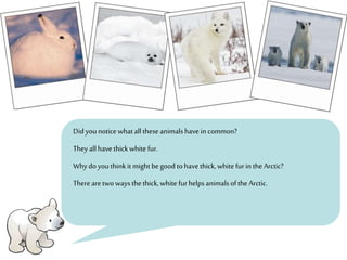 Didyounoticewhatall theseanimalshavein common?
Theyall havethickwhite fur.
Whydoyouthinkit might begood tohavethick,whitefurin theArctic?
Therearetwowaysthethick,white furhelps animalsofthe Arctic.
 
