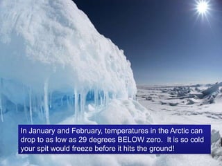 In January and February, temperatures in the Arctic can
drop to as low as 29 degrees BELOW zero. It is so cold
your spit would freeze before it hits the ground!
 