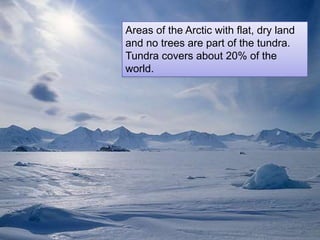 Areas of the Arctic with flat, dry land
and no trees are part of the tundra.
Tundra covers about 20% of the
world.
 