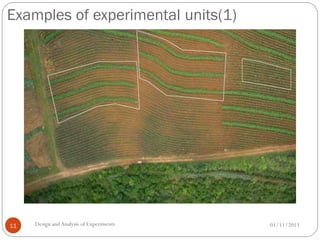 Examples of experimental units(1)
01/11/2013Design andAnalysis of Experiments11
 