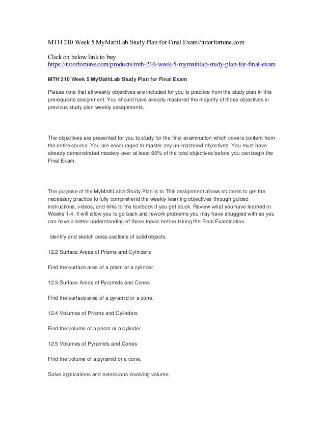 Blueprint essay example picture