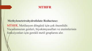 MTHFR
Methylenetetrahydrofolate Reductase:
MTHFR, Metilasyon döngüsü için çok önemlidir.
Vucudumuzun genleri, biyokimyasalları ve enzimlerinin
fonksiyonları için gerekli metil gruplarını alır.
 