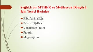 Sağlıklı bir MTHFR ve Metilasyon Döngüsü
İçin Temel Besinler
Riboflavin (B2)
Folat (B9)-Besin
Kobalamin (B12)
Protein
Magnezyum
 