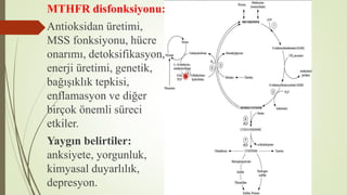 MTHFR disfonksiyonu:
Antioksidan üretimi,
MSS fonksiyonu, hücre
onarımı, detoksifikasyon,
enerji üretimi, genetik,
bağışıklık tepkisi,
enflamasyon ve diğer
birçok önemli süreci
etkiler.
Yaygın belirtiler:
anksiyete, yorgunluk,
kimyasal duyarlılık,
depresyon.
 