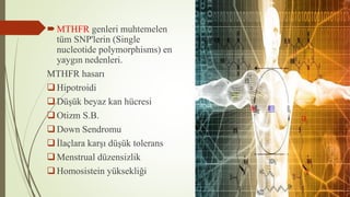 MTHFR genleri muhtemelen
tüm SNP'lerin (Single
nucleotide polymorphisms) en
yaygın nedenleri.
MTHFR hasarı
Hipotroidi
Düşük beyaz kan hücresi
Otizm S.B.
Down Sendromu
İlaçlara karşı düşük tolerans
Menstrual düzensizlik
Homosistein yüksekliği
 