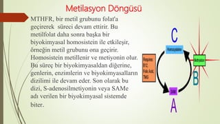 Metilasyon Döngüsü
MTHFR, bir metil grubunu folat'a
geçirerek süreci devam ettirir. Bu
metilfolat daha sonra başka bir
biyokimyasal homosistein ile etkileşir,
örneğin metil grubunu ona geçirir.
Homosistein metillenir ve metiyonin olur.
Bu süreç bir biyokimyasaldan diğerine,
genlerin, enzimlerin ve biyokimyasalların
dizilimi ile devam eder. Son olarak bu
dizi, S-adenosilmetiyonin veya SAMe
adı verilen bir biyokimyasal sistemde
biter.
 