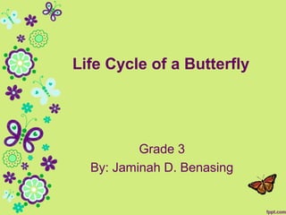 Life Cycle of a Butterfly

Grade 3
By: Jaminah D. Benasing

 