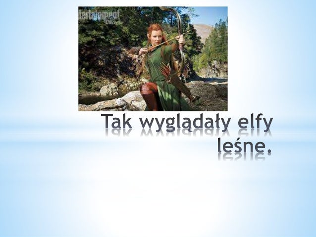 elfy training