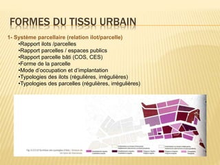 FORMES DU TISSU URBAIN
1- Système parcellaire (relation ilot/parcelle)
•Rapport ilots /parcelles
•Rapport parcelles / espaces publics
•Rapport parcelle bâti (COS, CES)
•Forme de la parcelle
•Mode d’occupation et d’implantation
•Typologies des ilots (régulières, irrégulières)
•Typologies des parcelles (régulières, irrégulières)
 