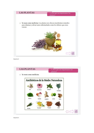 Diapositiva 8
Diapositiva 9
 