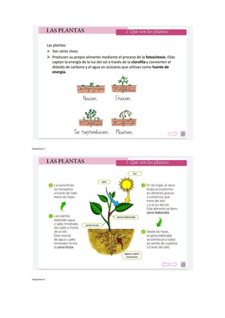 Diapositiva 3
Diapositiva 4
 