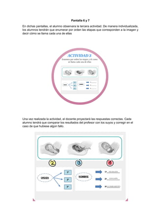 Pantalla 6 y 7
En dichas pantallas, el alumno observara la tercera actividad. De manera individualizada,
los alumnos tendrán que enumerar por orden las etapas que corresponden a la imagen y
decir cómo se llama cada una de ellas
Una vez realizada la actividad, el docente proyectará las respuestas correctas. Cada
alumno tendrá que comparar los resultados del profesor con los suyos y corregir en el
caso de que hubiese algún fallo.
 