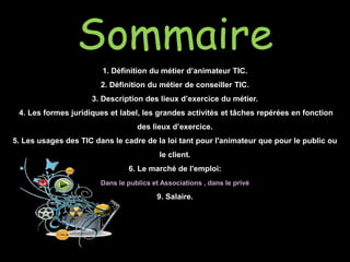 Sommaire
1. Définition du métier d’animateur TIC.
2. Définition du métier de conseiller TIC.
3. Description des lieux d’exercice du métier.
4. Les formes juridiques et label, les grandes activités et tâches repérées en fonction
des lieux d’exercice.
5. Les usages des TIC dans le cadre de la loi tant pour l'animateur que pour le public ou
le client.
6. Le marché de l'emploi:
Dans le publics et Associations , dans le privé
9. Salaire.
 