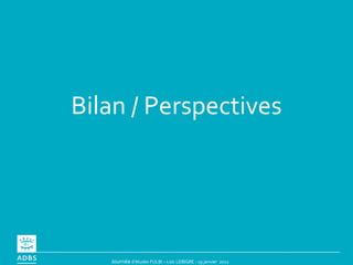Bilan / Perspectives 