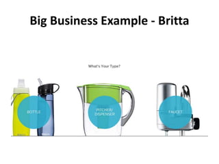 Big Business Example - Britta
 
