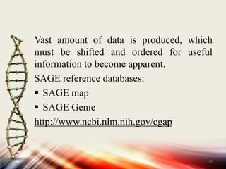 23Bsm FI(tagging Enzyme)BLinker adapted SAGE tagB