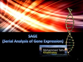 Mohammed Talha Khatkhatay 1 SAGE (Serial Analysis of Gene Expression) SAGE (Serial Analysis of Gene Expression) 