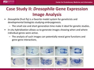 Center for Evolutionary Medicine and Informatics



 Case Study II: Drosophila Gene Expression
               Image Analysis
• Drosophila (fruit fly) is a favorite model system for geneticists and
  developmental biologists studying embryogenesis.
   – The small size and short generation time make it ideal for genetic studies.
• In situ hybridization allows us to generate images showing when and where
  individual genes were active.
   – The analysis of such images can potentially reveal gene functions and
       gene-gene interactions.




                   The Twelfth SIAM Information Conference on Data Mining, April 27, 2012
 