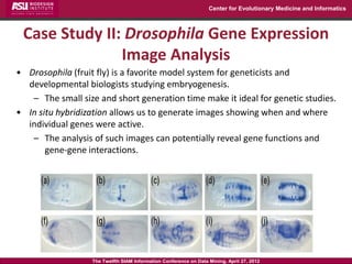 Center for Evolutionary Medicine and Informatics



 Case Study II: Drosophila Gene Expression
               Image Analys...