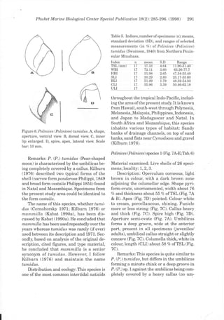 Mt lasut 1998-polinices-pmbc | PDF