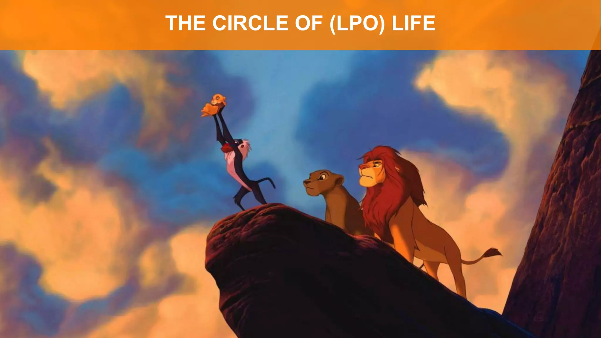 THE CIRCLE OF (LPO) LIFE
 