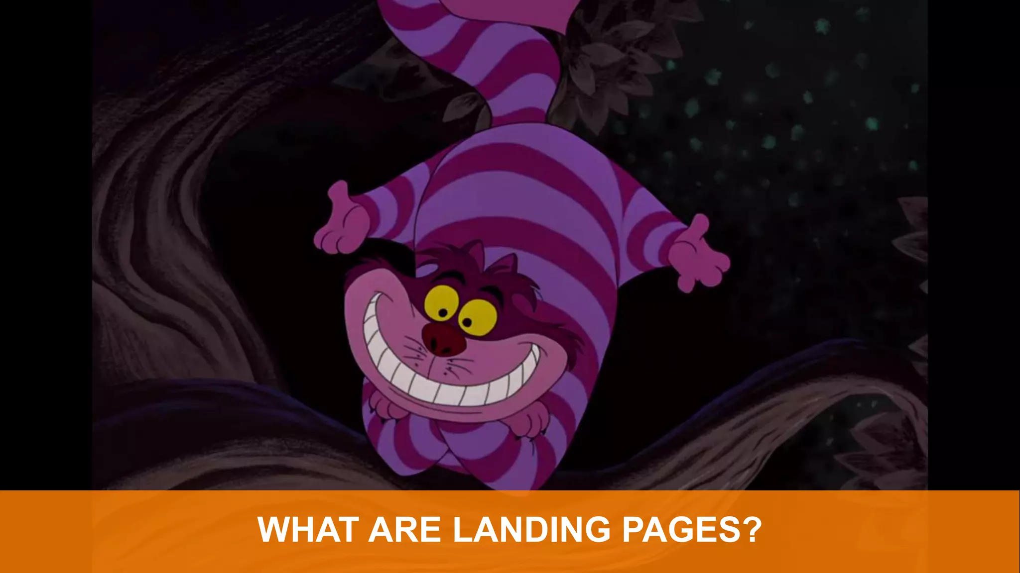 WHAT ARE LANDING PAGES?
 