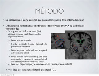 MÉTODO
    •   Se selecciona el corte coronal que pasa a través de la fosa interpeduncular.

    •   Utilizando la herramienta “medir área” del software IMPAX se delimita el
        contorno de:
        • la región medial temporal (A),
              definida como un cuadrilátero con los
              siguientes bordes:
               •   borde inferior: tentorio
               •   borde medial: borde lateral de
                   pedúnculos cerebrales
               •   borde superior: techo del asta temporal
                   del ventrículo lateral
               •   borde medial: surco colateral y una línea
                   recta desde el extremo al extremo lateral
                   del asta temporal del ventrículo lateral
         •    el área del hipocampo y circunvolución parahipocampal (B)

         •    y el área del ventrículo lateral ipsilateral (C).
sábado 13 de abril de 13
 