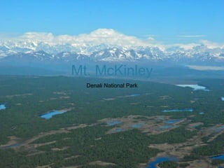 Mt. McKinley Denali National Park 