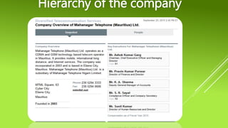 Hierarchy of the company
 