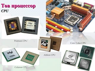 Төв процессорТөв процессор
CPUCPU
Pentium CPU
Celeron CPU
Core 2 duo CPU
Athlon CPU
 
