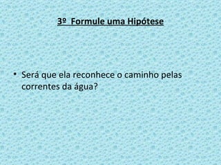 3º  Formule uma Hipótese Será que ela reconhece o caminho pelas correntes da água? 