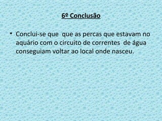 6º Conclusão Conclui-se que  que as percas que estavam no aquário com o circuito de correntes  de água conseguiam voltar ao local onde nasceu. 