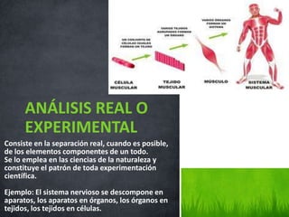 Consiste en la separación real, cuando es posible,
de los elementos componentes de un todo.
Se lo emplea en las ciencias de la naturaleza y
constituye el patrón de toda experimentación
científica.
Ejemplo: El sistema nervioso se descompone en
aparatos, los aparatos en órganos, los órganos en
tejidos, los tejidos en células.
ANÁLISIS REAL O
EXPERIMENTAL
 