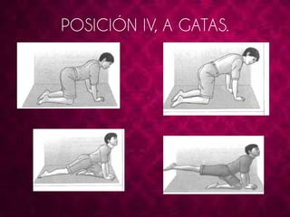 POSICIÓN IV, A GATAS. 
 