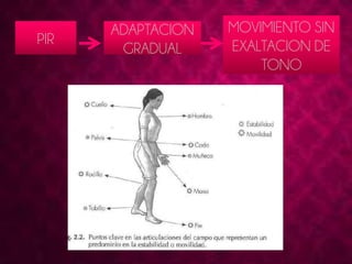 PIR 
ADAPTACION 
GRADUAL 
MOVIMIENTO SIN 
EXALTACION DE 
TONO 
 