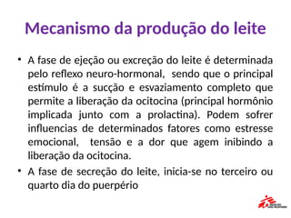 Mecanismo da produção do leite
• A fase de ejeção ou excreção do leite é determinada
pelo reflexo neuro-hormonal, sendo que o principal
estímulo é a sucção e esvaziamento completo que
permite a liberação da ocitocina (principal hormônio
implicada junto com a prolactina). Podem sofrer
influencias de determinados fatores como estresse
emocional, tensão e a dor que agem inibindo a
liberação da ocitocina.
• A fase de secreção do leite, inicia-se no terceiro ou
quarto dia do puerpério
 