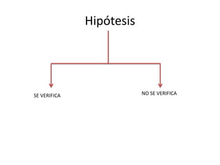 Hipótesis
SE VERIFICA NO SE VERIFICA
 