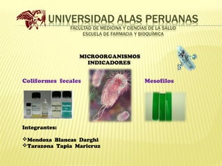 MICROORGANISMOS
INDICADORES

Coliformes fecales

Integrantes:
Mendoza Blancas Darghi
Tarazona Tapia Maricruz

Mesofilos

 
