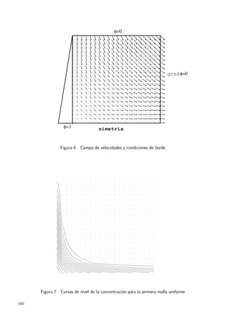 φ=0
φ=1 simetría
grad φ=0
Figura 6 Campo de velocidades y condiciones de borde
Figura 7 Curvas de nivel de la concentración para la primera malla uniforme
160
 