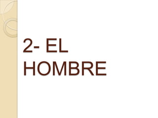 2- EL
HOMBRE
 