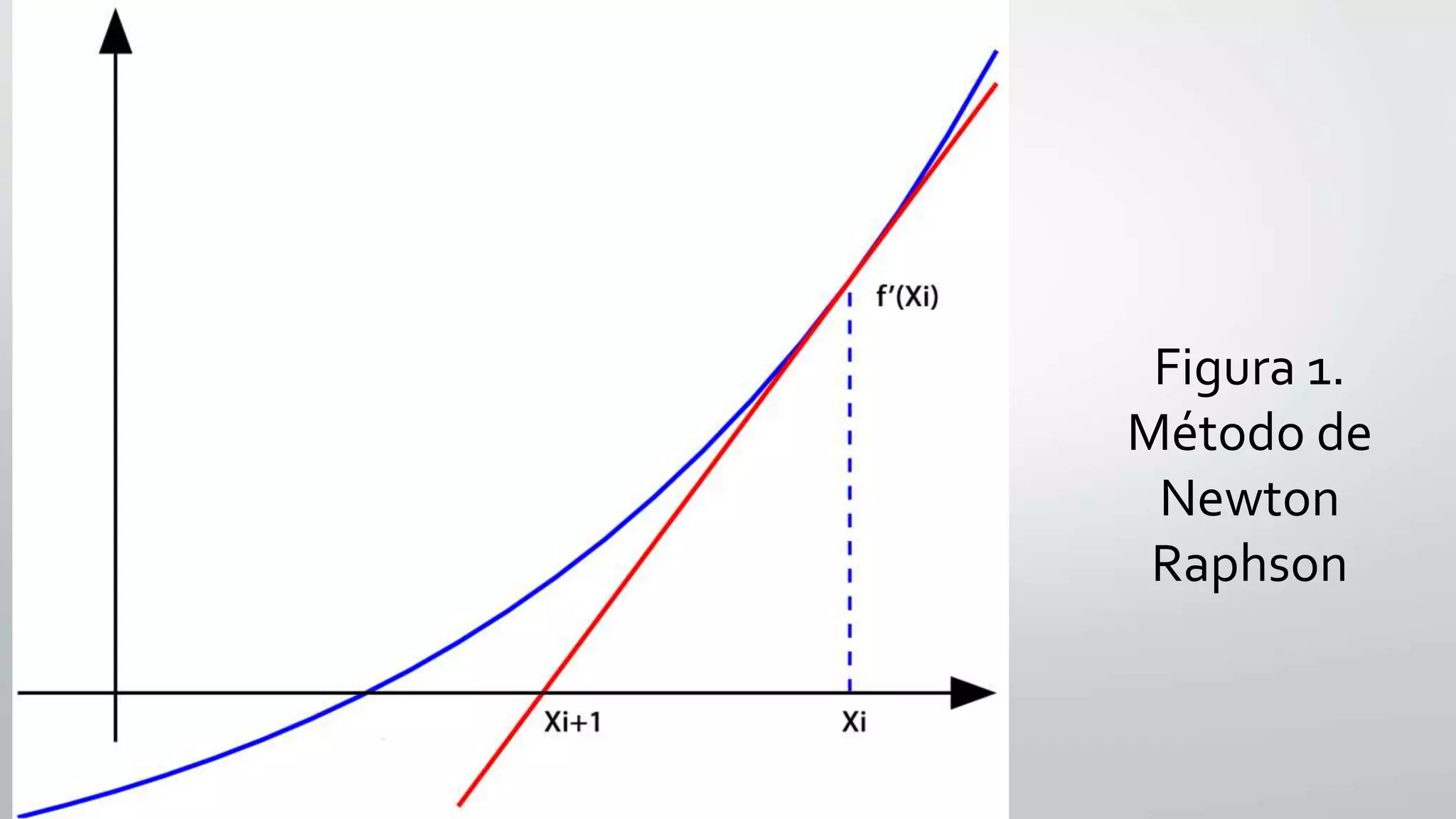 Figura 1.
Método de
Newton
Raphson
 