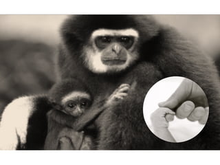 foto:	
  Pedro	
  Biondi	
  .	
  	
  fonte:	
  Agência	
  Brasil	
  
 