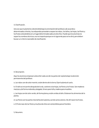 3. Clasificación.
Una vez que laplantaha sidodivididabajolaorientacióndel profesoryde acuerdoa
determinadoscriterios,loseducandosprocedenasepara lasraíces, lostallos,lashojas,lasfloresy
losfrutoscolocándolosenunlugardeterminadocadaunode ellos.Puede que losalumnosno
sepanlosnombrestécnicos;esonoimportaporque enel siguiente pasose lesdirá,perodeben
buscar un criteriorazonable de clasificación.
4. Descripción.
Aquí losalumnosempiezanadescribircadaunode laspartesde laplantabajo laatención
permanente del profesor.
a. Las raíces son de color marrón,estándentrode la tierra,fijanlaplantaal suelo.
b. El tallose encuentradespuésde laraíz, sostiene alashojas,lasfloresylosfrutos.Sonmaderos
macizosy de forma redondayalargada.Sirvenpara leña,maderapara muebles.
c. Las hojas sonde color verde,de formaplanay estánunidasal tallo.Elaboranlosalimentosde la
planta.
d. Las floressonlaspartesmás bellasde laplanta,sonde varioscolores.De allí nacenlosfrutos.
e.El frutonace de las floresymuchosde ellossoncomestiblesparael hombre.
5. Resumen.
 